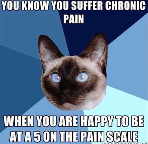 chronic pain meme funny